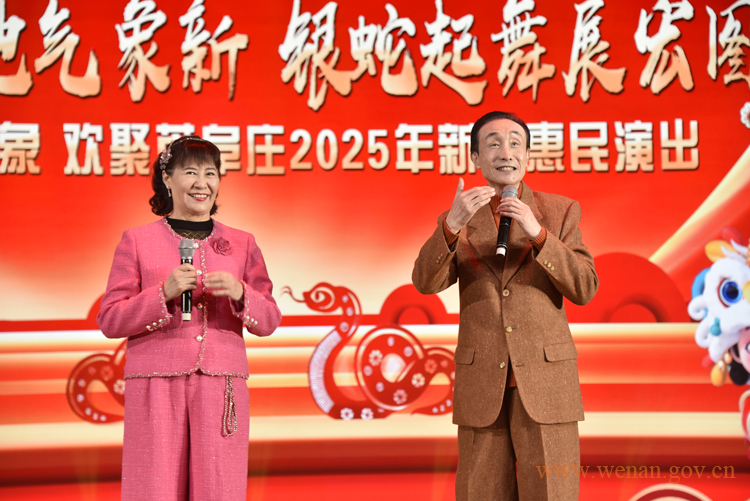 新镇镇文化惠民系列演出精彩纷呈